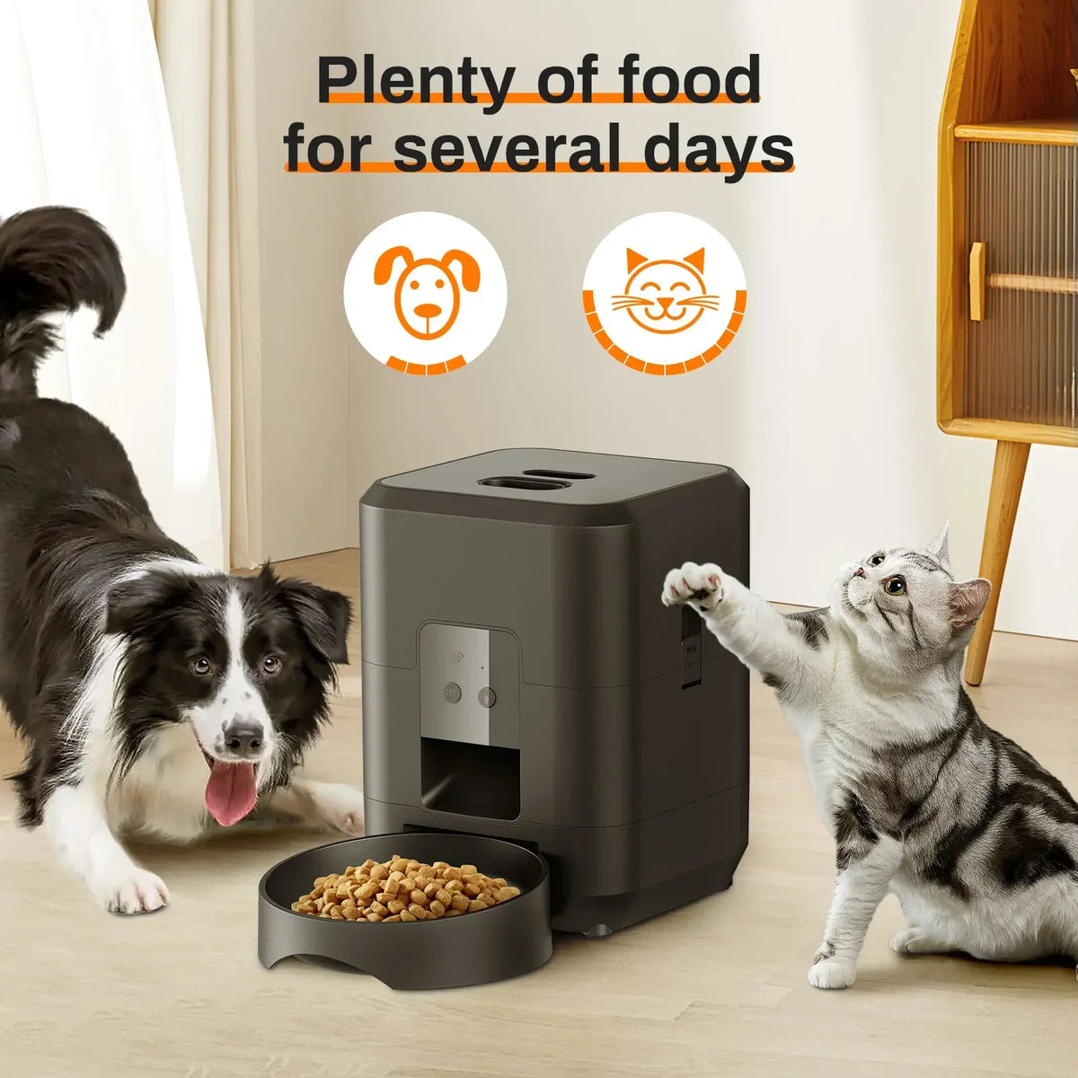 Automatic Cat Feeder with Stainless Steel Bowl